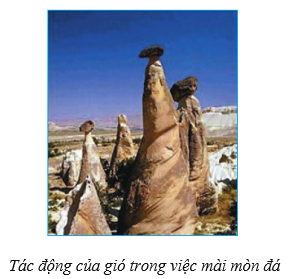 1. Quá trình nội sinh và ngoại sinh