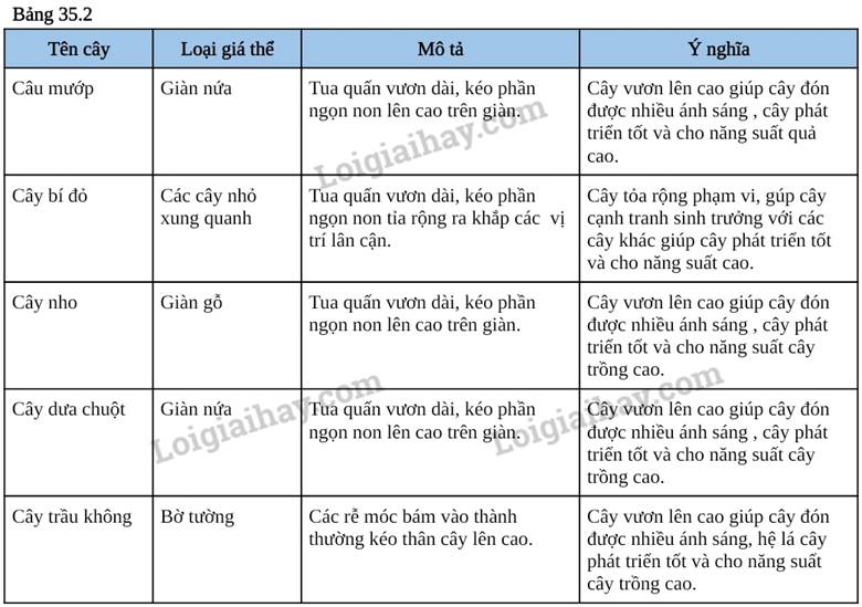 III. KẾT QUẢ