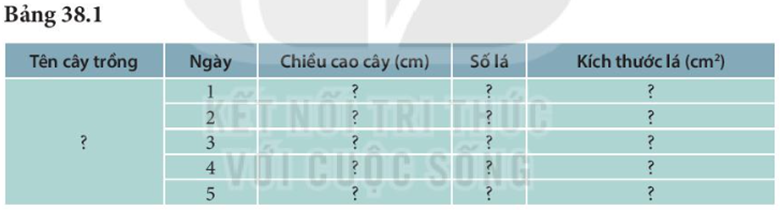 III. KẾT QUẢ