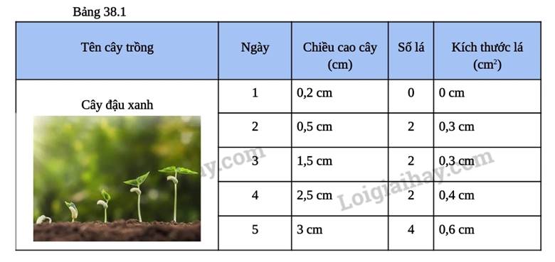 III. KẾT QUẢ
