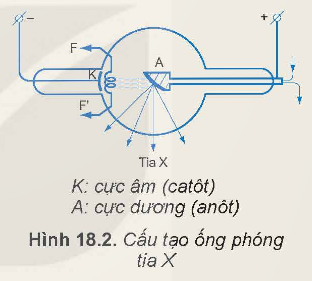 KHỞI ĐỘNG