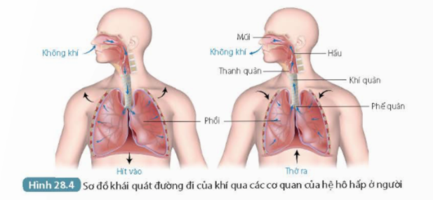 MỞ ĐẦU