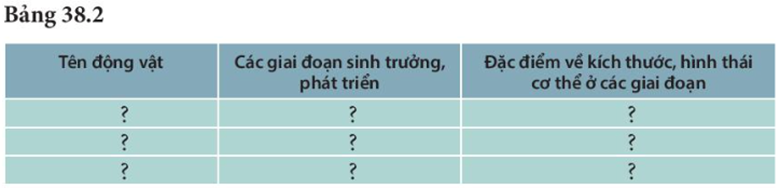 III. KẾT QUẢ