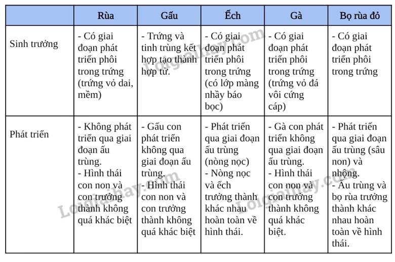 III. KẾT QUẢ