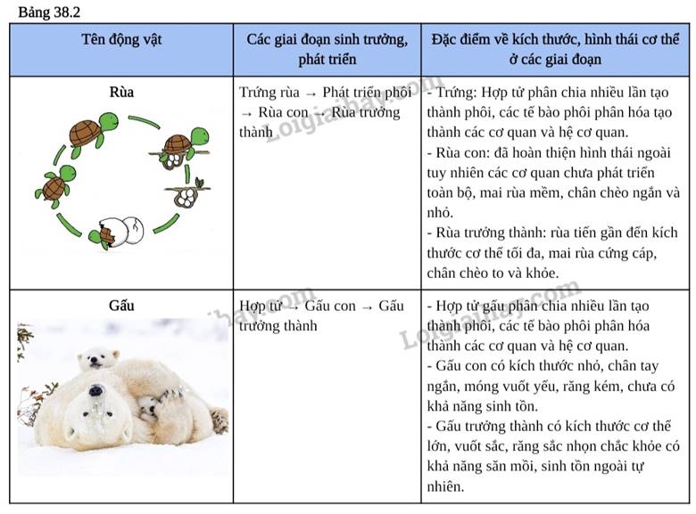 III. KẾT QUẢ