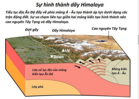 1. Quá trình nội sinh và ngoại sinh