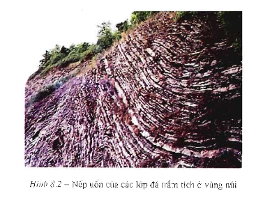 1. Quá trình nội sinh và ngoại sinh