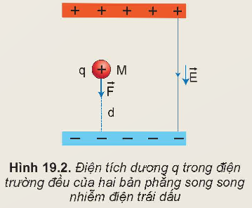 KHỞI ĐỘNG