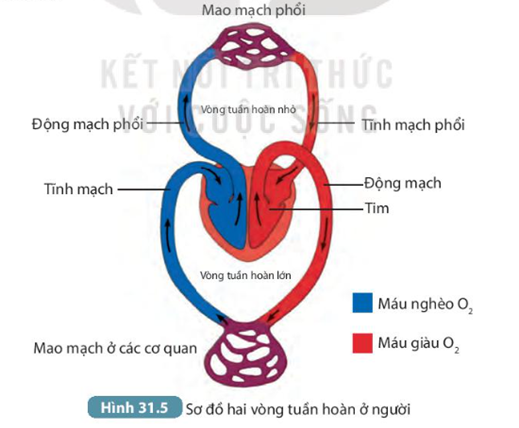 MỞ ĐẦU