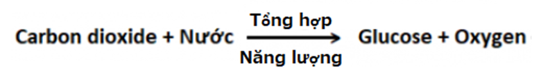MỞ ĐẦU