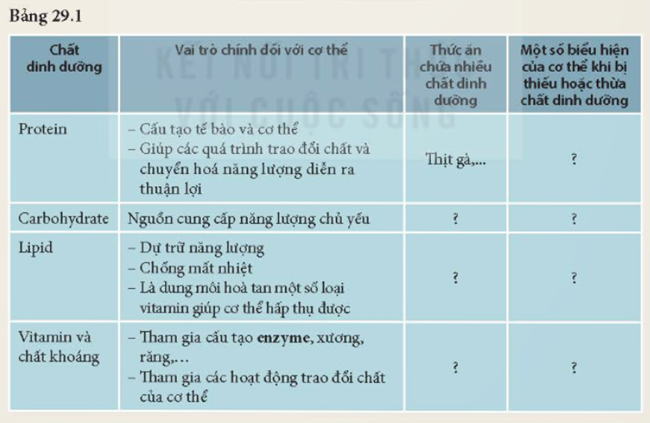 MỞ ĐẦU