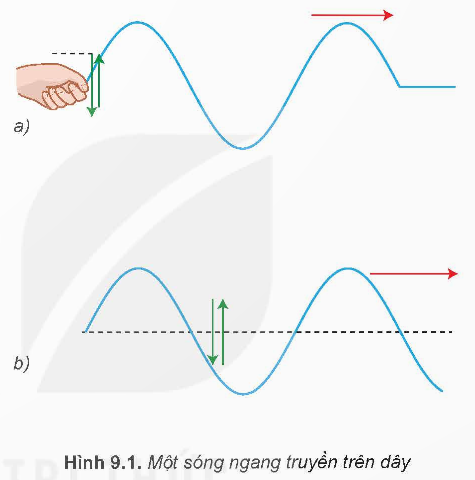 II. SÓNG DỌC