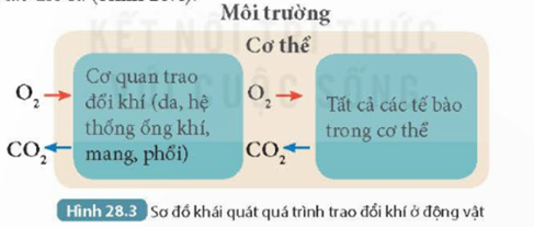 MỞ ĐẦU