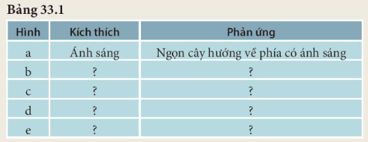 MỞ ĐẦU