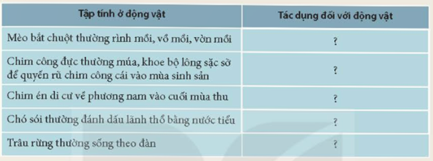 MỞ ĐẦU