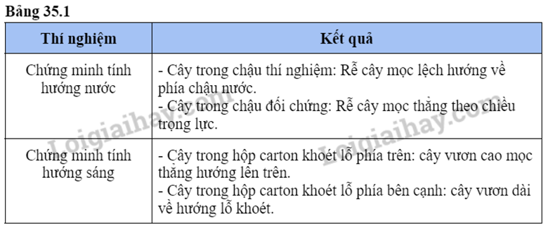 III. KẾT QUẢ