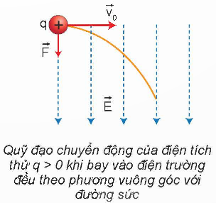 KHỞI ĐỘNG