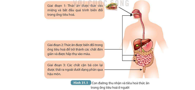 MỞ ĐẦU