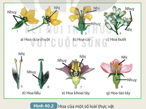 MỞ ĐẦU