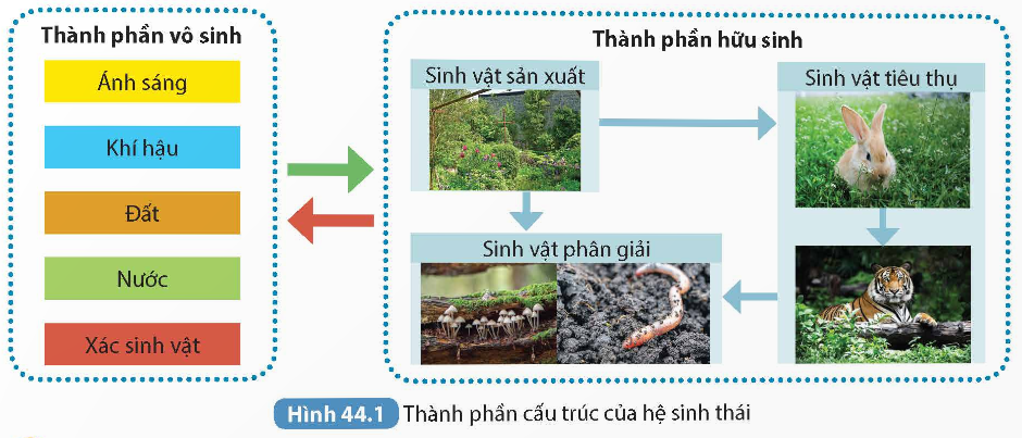 KHỞI ĐỘNG