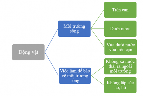 THỰC HÀNH
