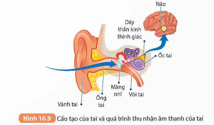 KHỞI ĐỘNG
