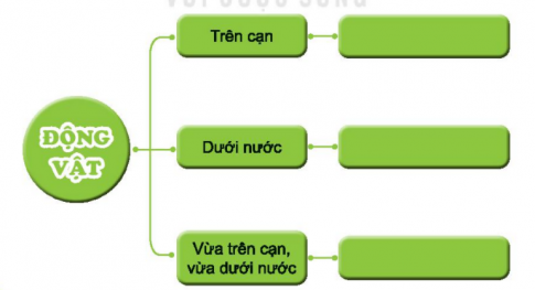 MỞ ĐẦU