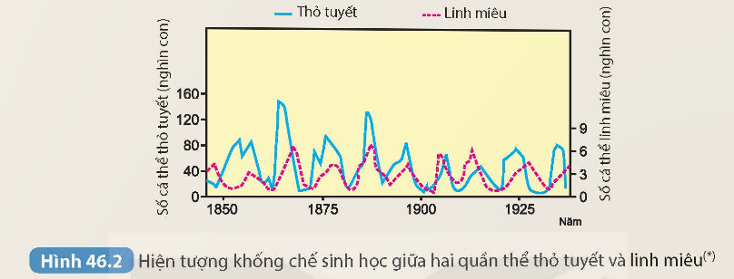 KHỞI ĐỘNG