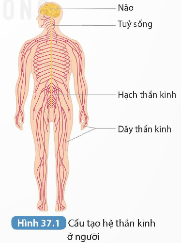 KHỞI ĐỘNG