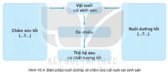 MỞ ĐẦU
