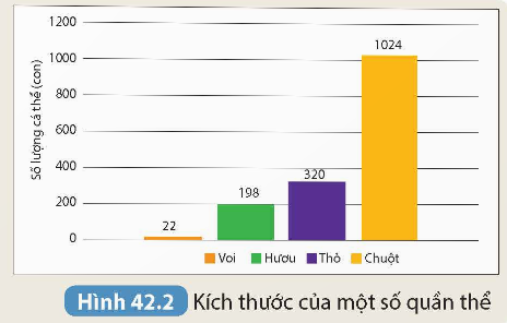 KHỞI ĐỘNG