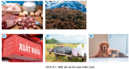 MỞ ĐẦU