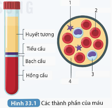 KHỞI ĐỘNG