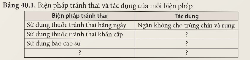 KHỞI ĐỘNG