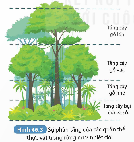 KHỞI ĐỘNG