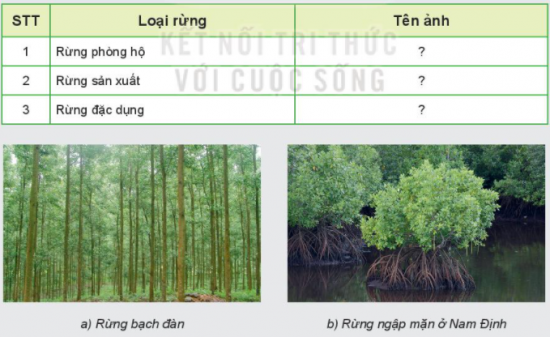 MỞ ĐẦU