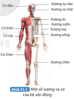 KHỞI ĐỘNG