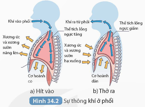 KHỞI ĐỘNG