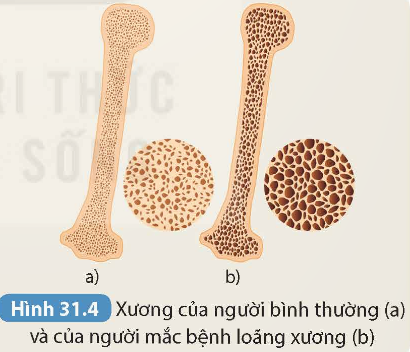 KHỞI ĐỘNG
