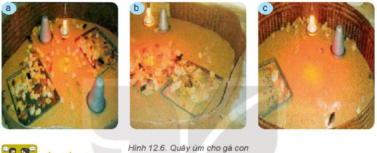 MỞ ĐẦU