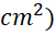 HOẠT ĐỘNG