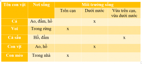 MỞ ĐẦU