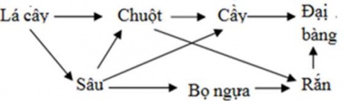 KHỞI ĐỘNG