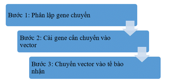 MỞ ĐẦU: