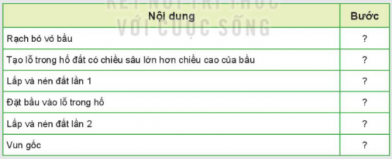 MỞ ĐẦU