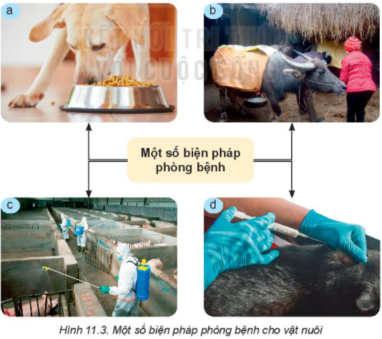 MỞ ĐẦU