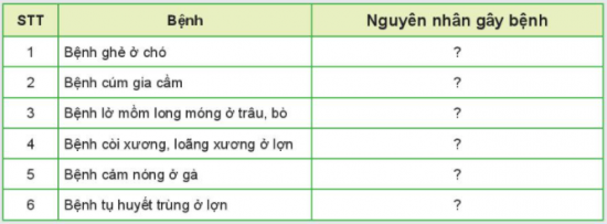 MỞ ĐẦU