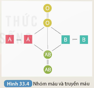 KHỞI ĐỘNG