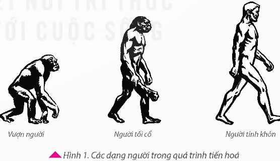 MỞ ĐẦU