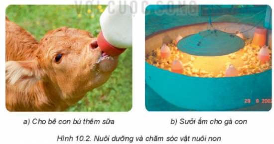 MỞ ĐẦU